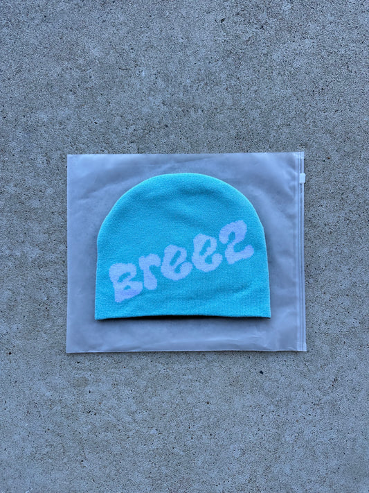 Blue Reversible Beanie